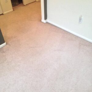 clean-carpet_1